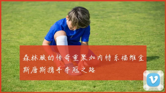 森林狼的传奇重聚加内特乐福维金斯唐斯携手夺冠之路
